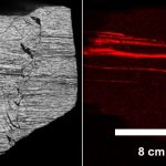 Cassiterite in biotite schist (Bockau): left – polished section, right - µXRF image (Tornado-scan, recorded by BGR)